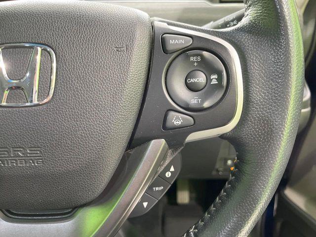 フリード(新潟県長岡市)