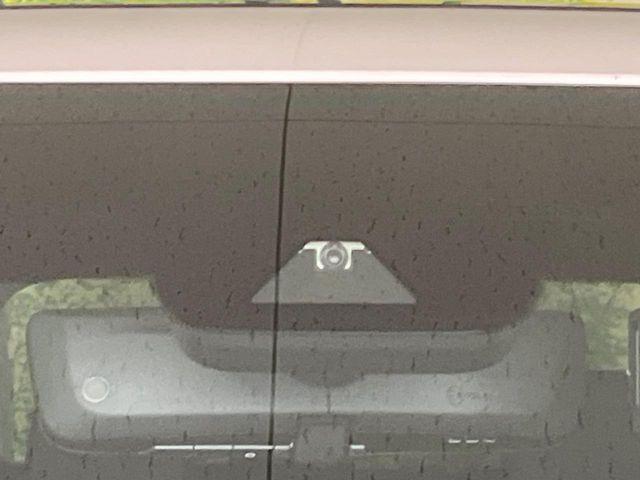 アルファード(新潟県長岡市)