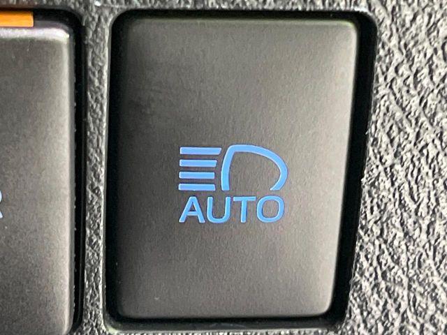 アルファード(新潟県長岡市)