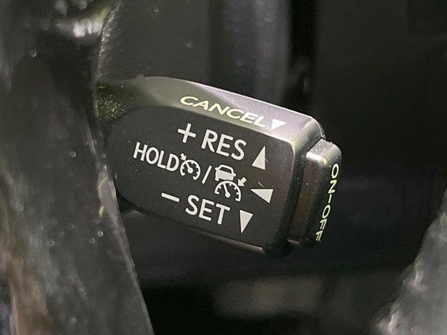 アルファード(新潟県長岡市)