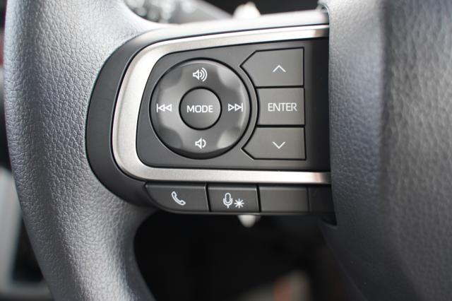 タント（新潟県阿賀野市）画像20