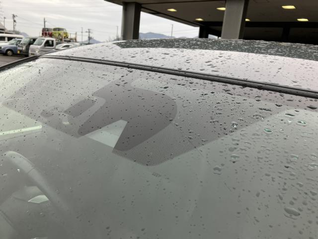 ティアナ(新潟県新潟市西蒲区)