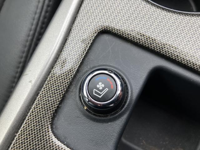 ティアナ(新潟県新潟市西蒲区)