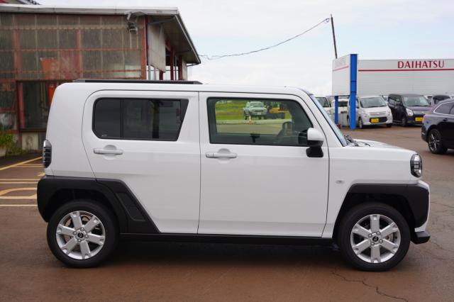 タフト（新潟県阿賀野市）画像12