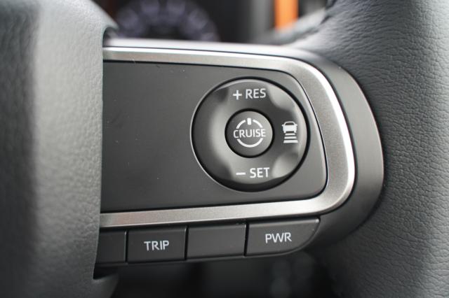 タフト（新潟県阿賀野市）画像22