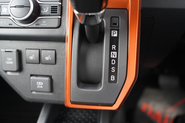 タフト（新潟県阿賀野市）画像28