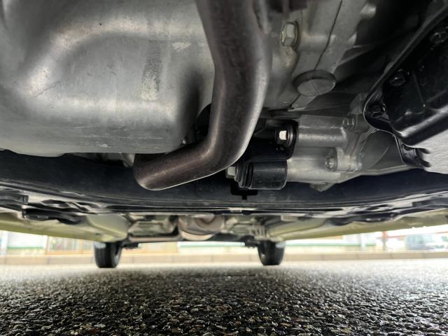 タント（新潟県新潟市西蒲区）画像29