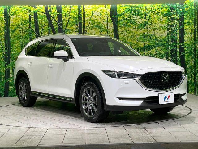 CX-8（新潟県長岡市）画像61