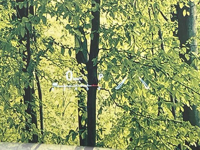 ハリアー（新潟県新潟市南区）画像48