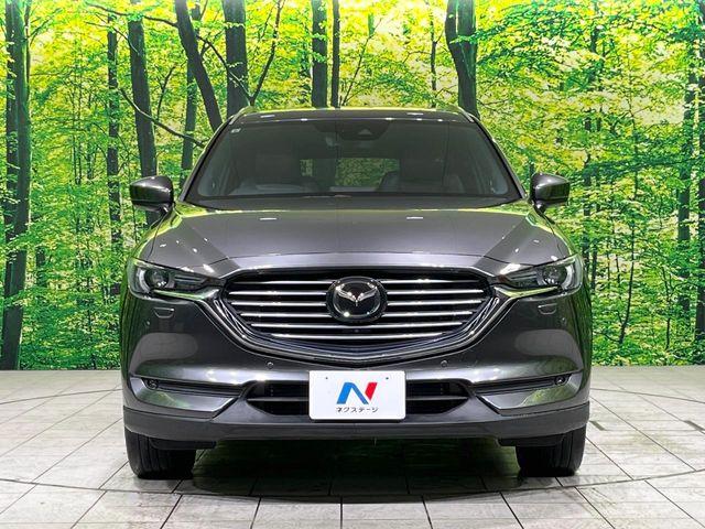 CX-8（新潟県長岡市）