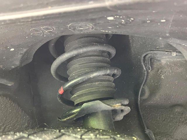 タフト（新潟県新潟市東区）