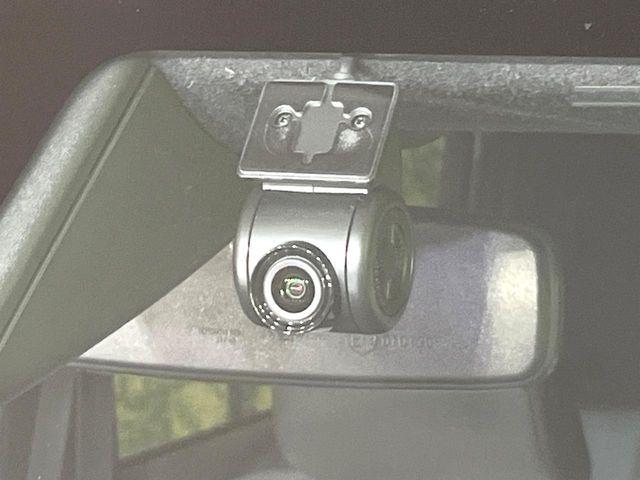 タフト（新潟県新潟市東区）