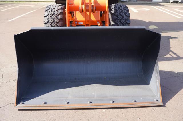 日本 その他（新潟県阿賀野市）画像33