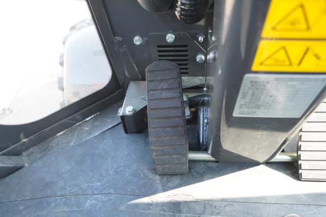 日本 その他（新潟県阿賀野市）画像12