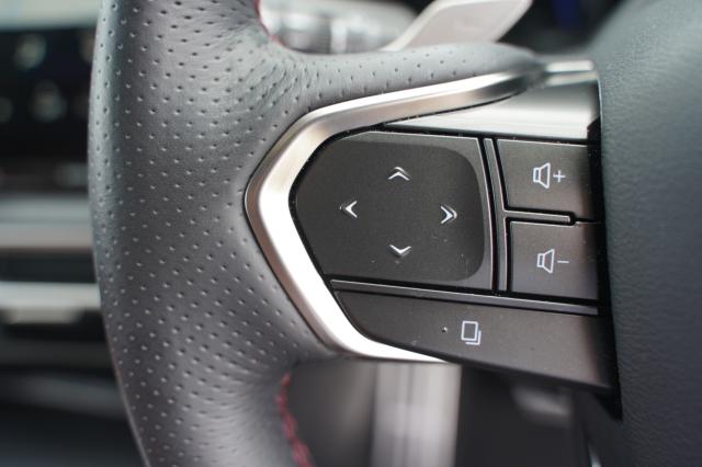 レクサスＲＸ（新潟県阿賀野市）画像25