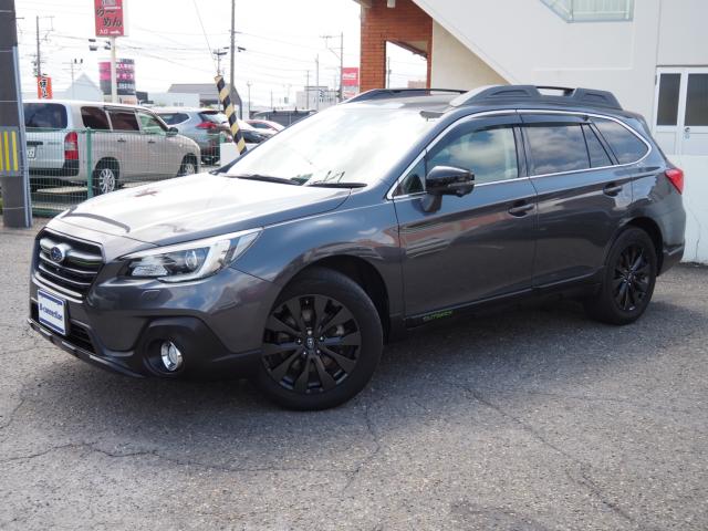 アウトバック（新潟県新潟市西区）画像21