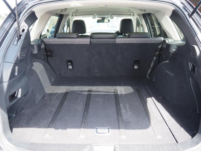 アウトバック（新潟県新潟市西区）画像53