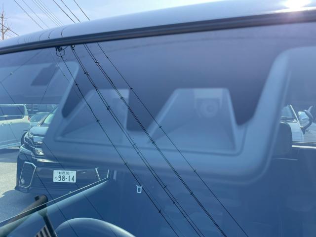 タフト(新潟県新潟市南区)