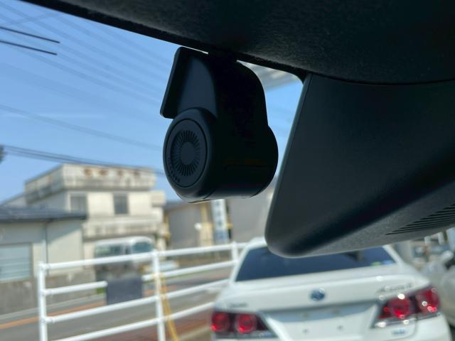 タフト(新潟県新潟市南区)