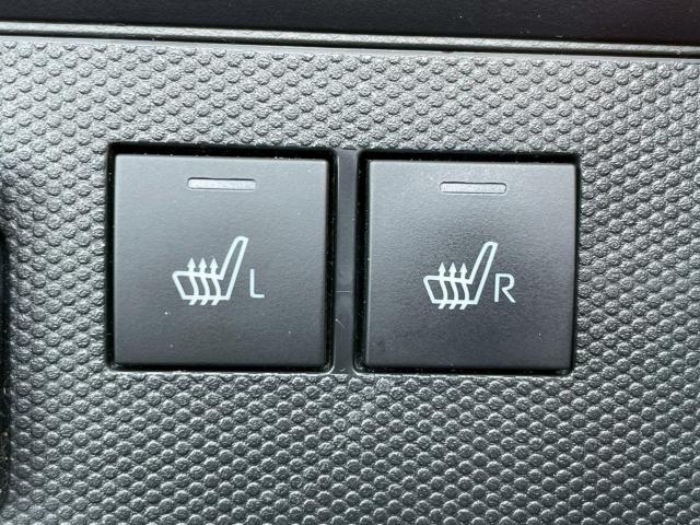 タフト(新潟県新潟市南区)