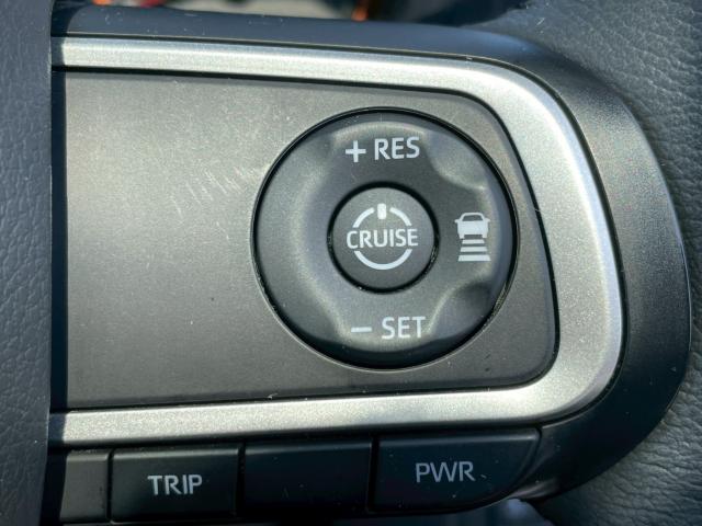 タフト(新潟県新潟市南区)