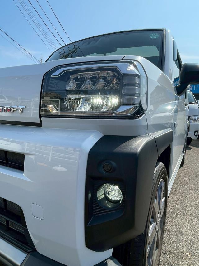 タフト(新潟県新潟市南区)