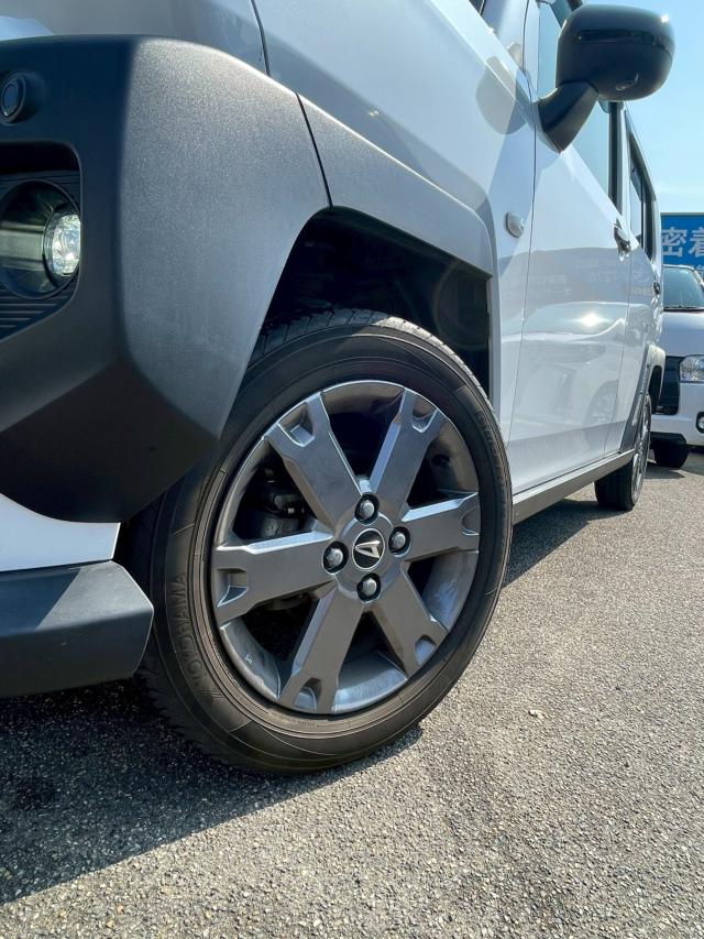 タフト(新潟県新潟市南区)