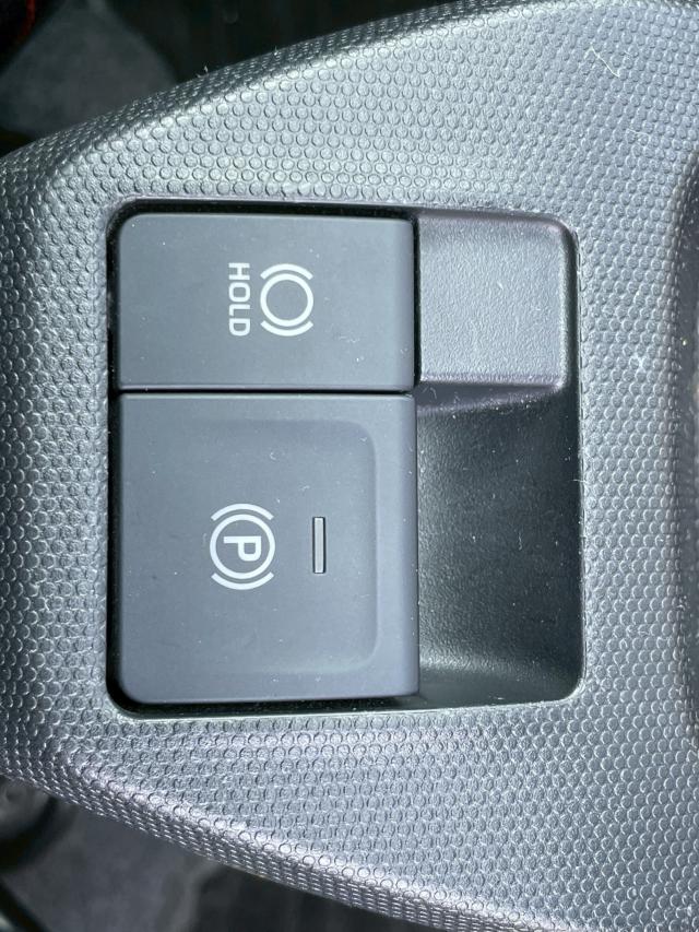 タフト(新潟県新潟市南区)