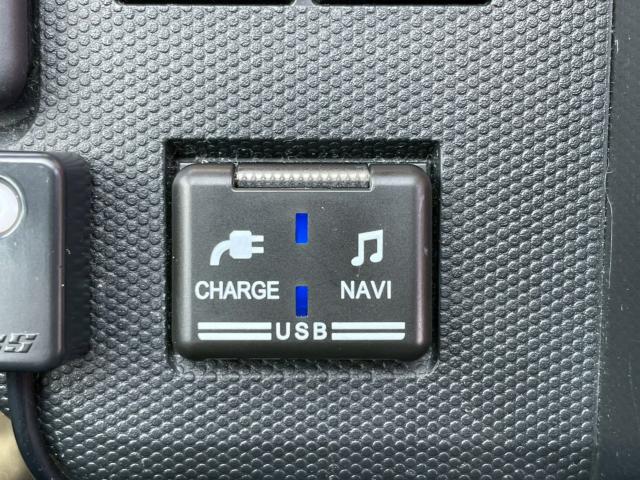 タフト(新潟県新潟市南区)