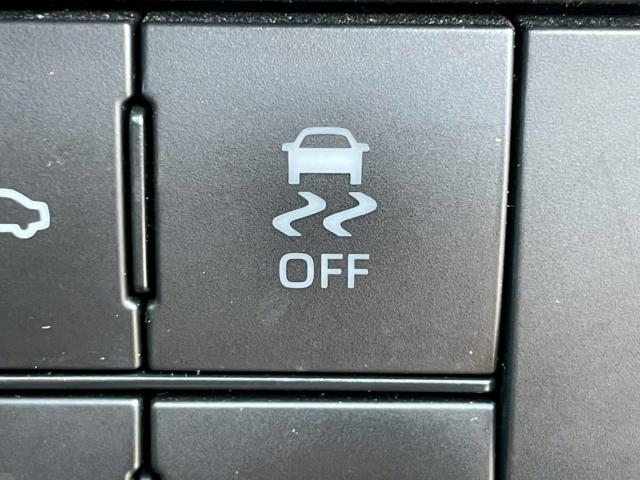 タフト(新潟県新潟市南区)