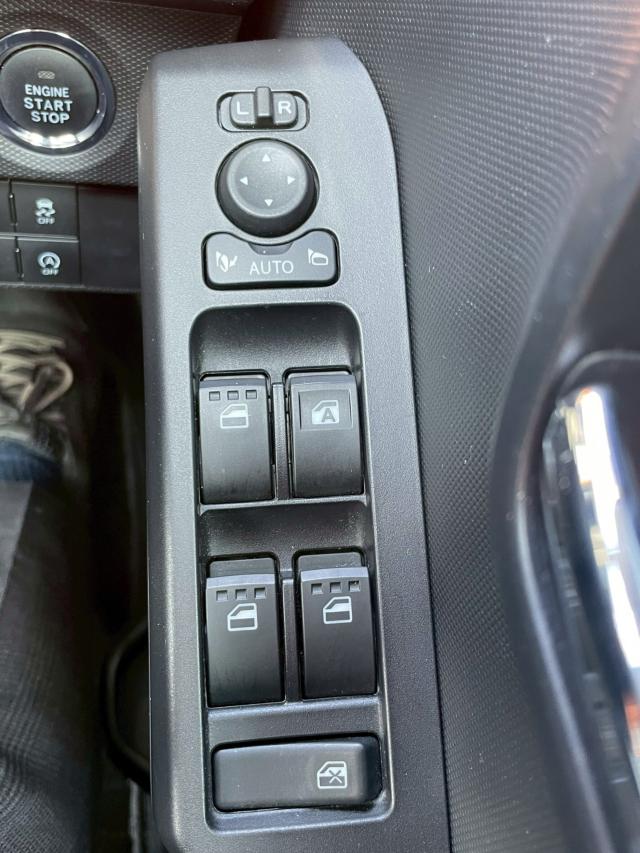 タフト(新潟県新潟市南区)