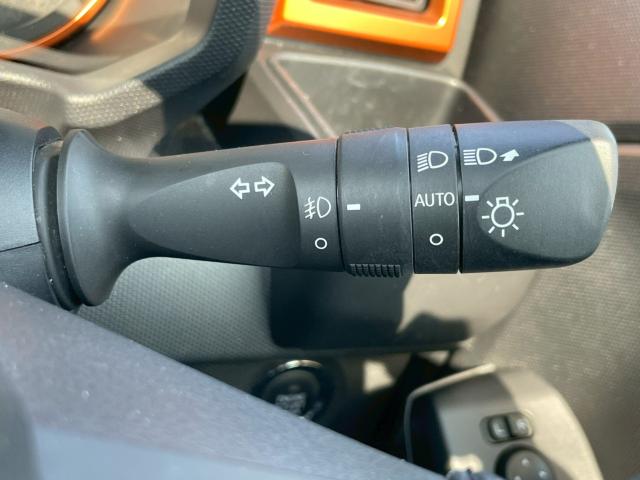 タフト(新潟県新潟市南区)