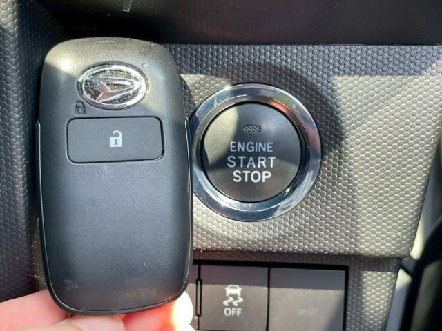 タフト(新潟県新潟市南区)