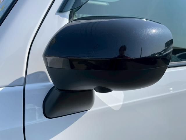 タフト(新潟県新潟市南区)