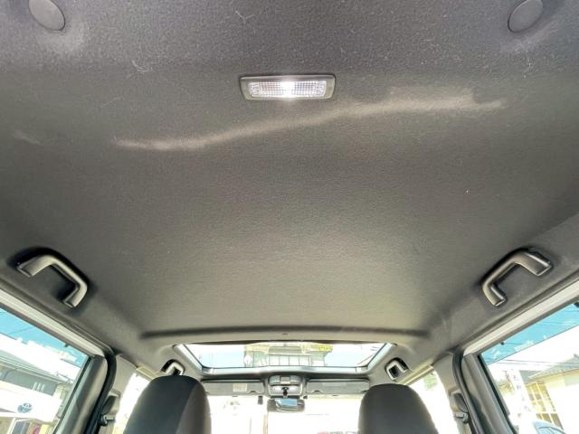 タフト(新潟県新潟市南区)