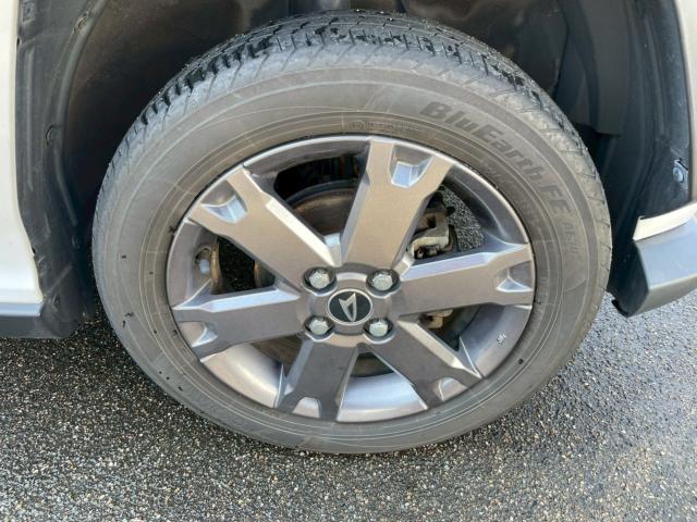 タフト(新潟県新潟市南区)