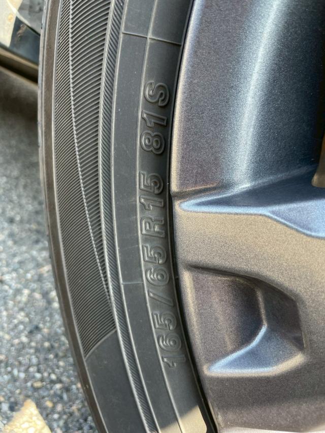 タフト(新潟県新潟市南区)