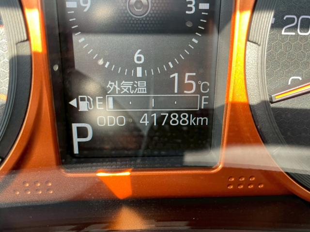 タフト(新潟県新潟市南区)