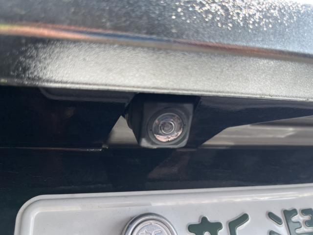 トール（新潟県新潟市西蒲区）画像26