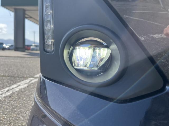 トール（新潟県新潟市西蒲区）画像28