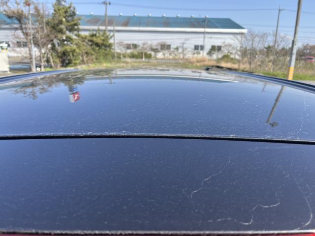 トール（新潟県新潟市西蒲区）画像31