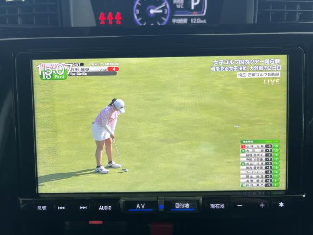 トール（新潟県新潟市西蒲区）画像69