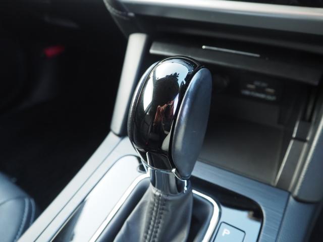 アウトバック（新潟県新潟市西区）画像72