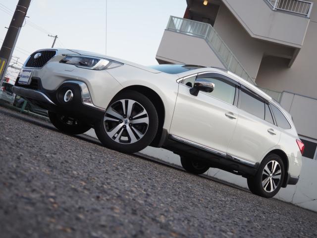 アウトバック（新潟県新潟市西区）画像22