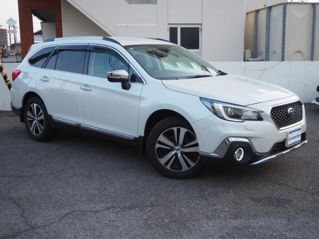 アウトバック（新潟県新潟市西区）画像25