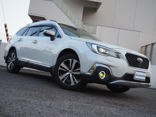 アウトバック（新潟県新潟市西区）画像37