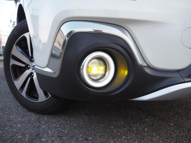 アウトバック（新潟県新潟市西区）画像13