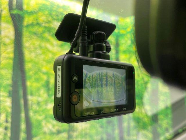 ステラ（新潟県長岡市）画像3