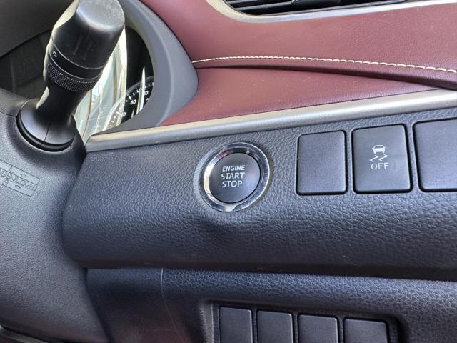 ハリアー（新潟県長岡市）