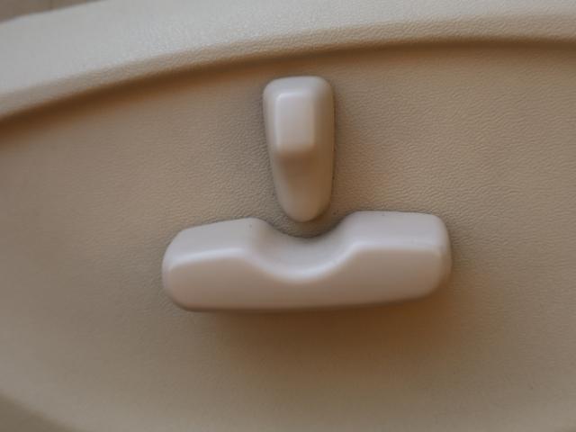 フォレスター（新潟県新潟市中央区）